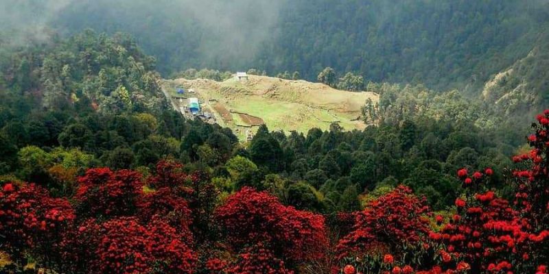 Chopta, Uttarakhand